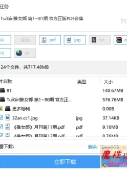 TuiGirl推女郎全集 第1~81期 官方正版PDF合集